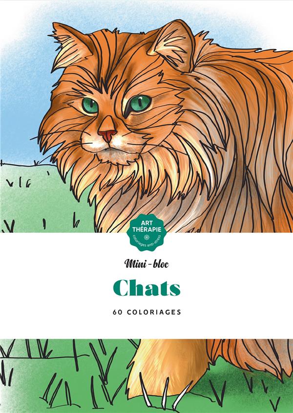 Livre à Colorier Chats - Hachette